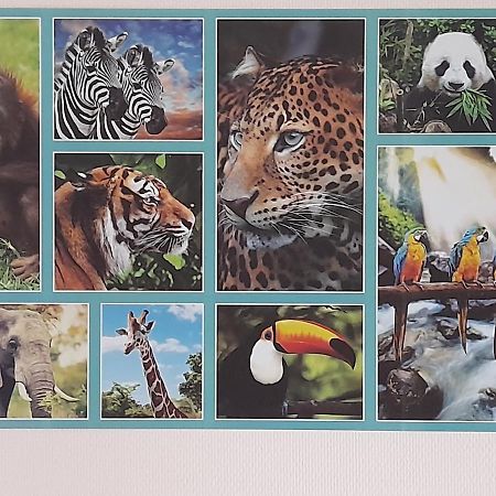Animalier Lägenhet Joigny Exteriör bild