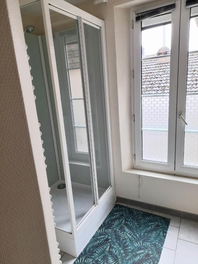 Animalier Lägenhet Joigny Exteriör bild