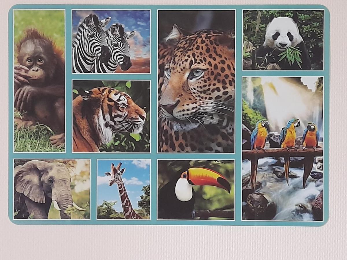 Animalier Lägenhet Joigny Exteriör bild